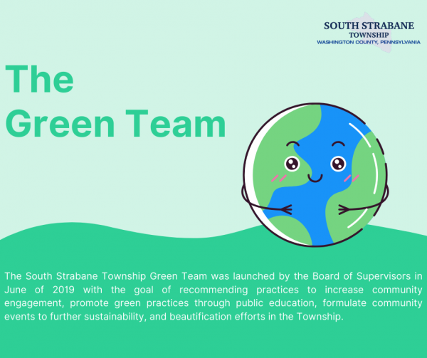 Green Team Infographic